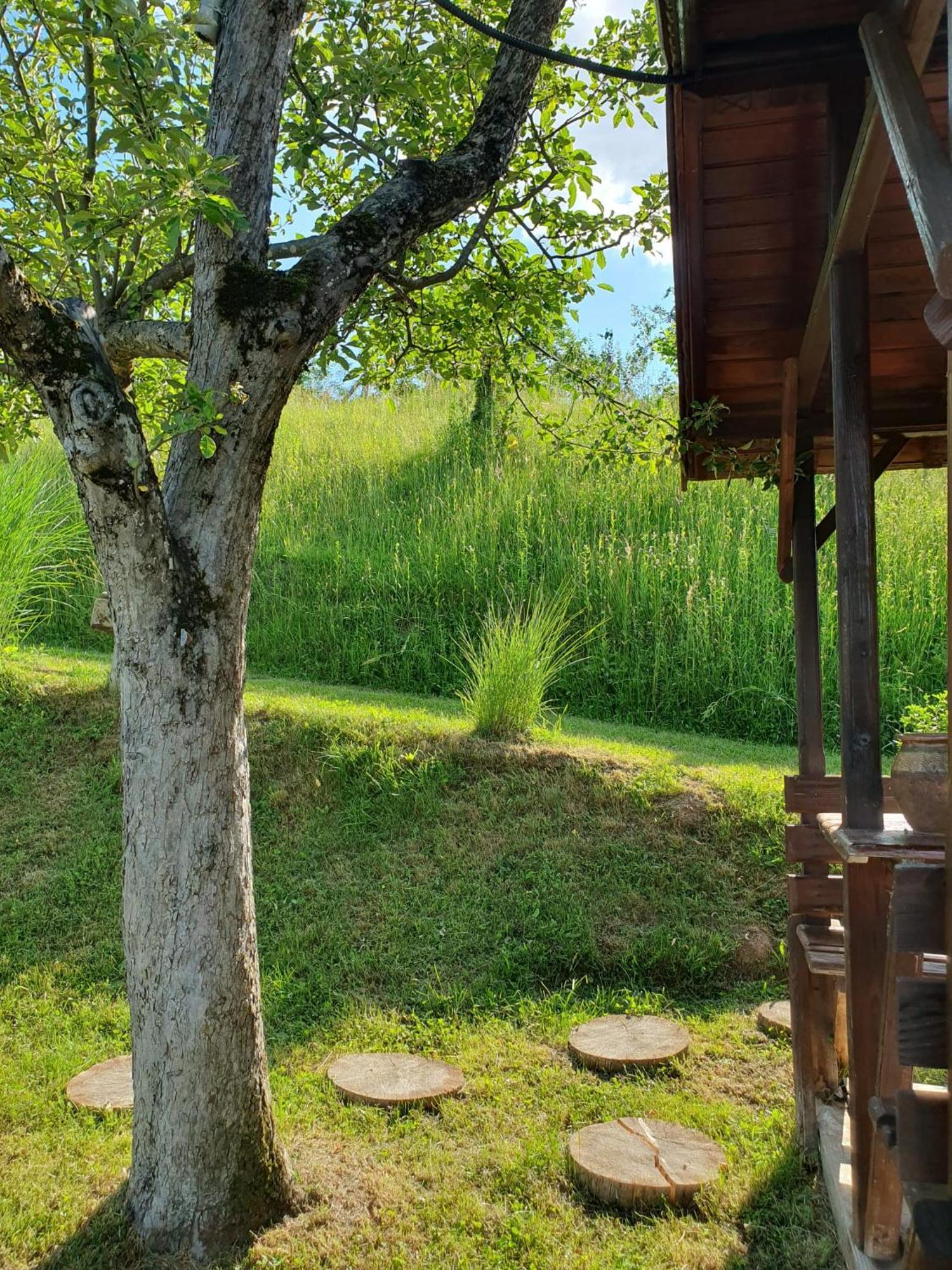 Cabana Valea Lui Mas Robaia エクステリア 写真